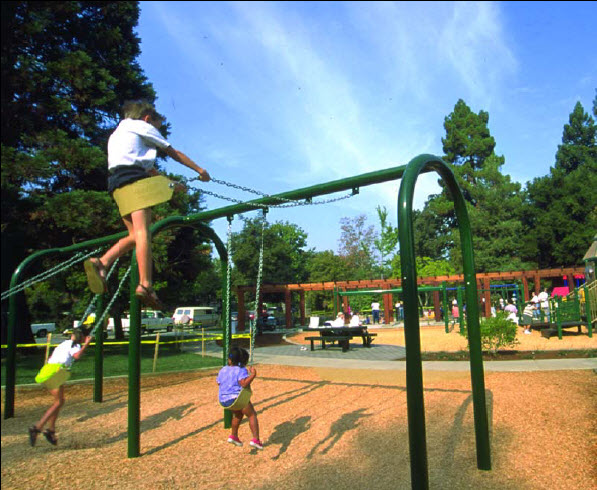 swings in a park